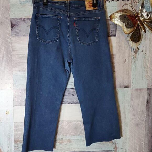Upcycled Levi's Mushrooms Birds Florals Lace Hand Stitched Jeans Sz 14 1023 - Picture 8 of 12